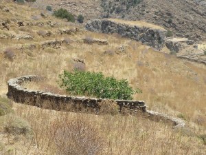 urbantraveltales,Καρθαία, Κέα/Τζιά