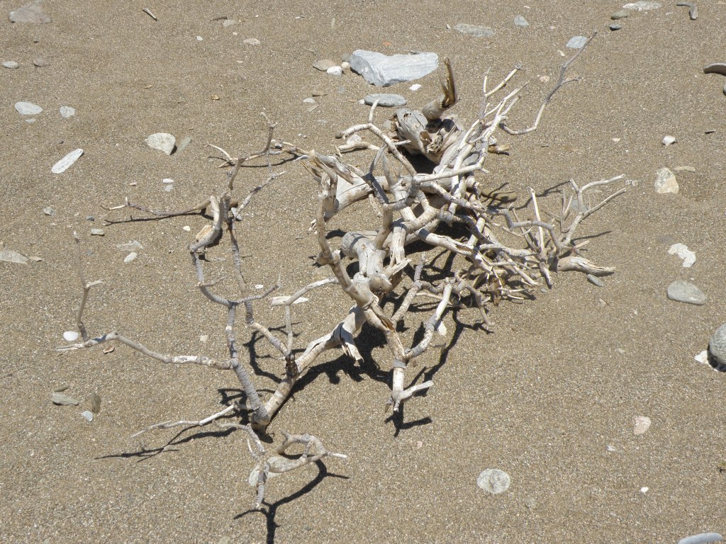 urban travel tales, Mad love goes to the beach, Breton, surrealism