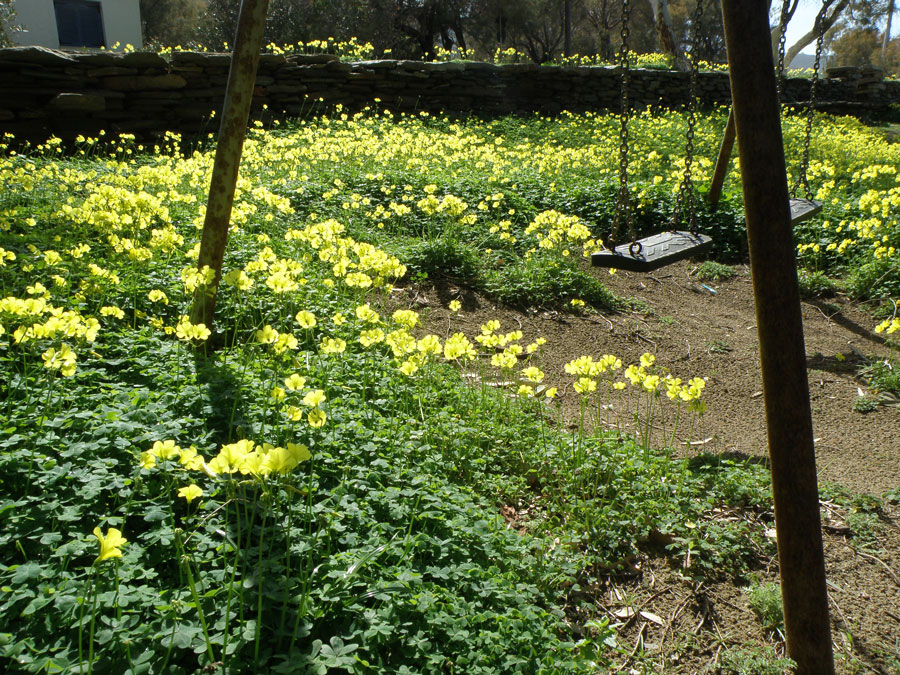 urbantraveltales, spring in Greek island Kea